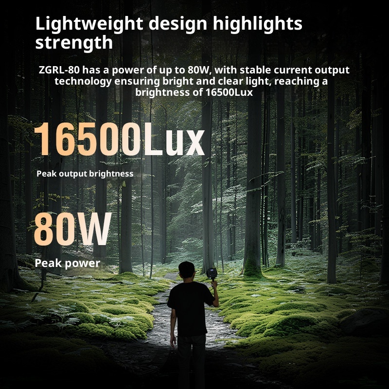 ZGRL80 80W COB LED Video Light - Outdoor Lighting In Photography ulasan dan harga
