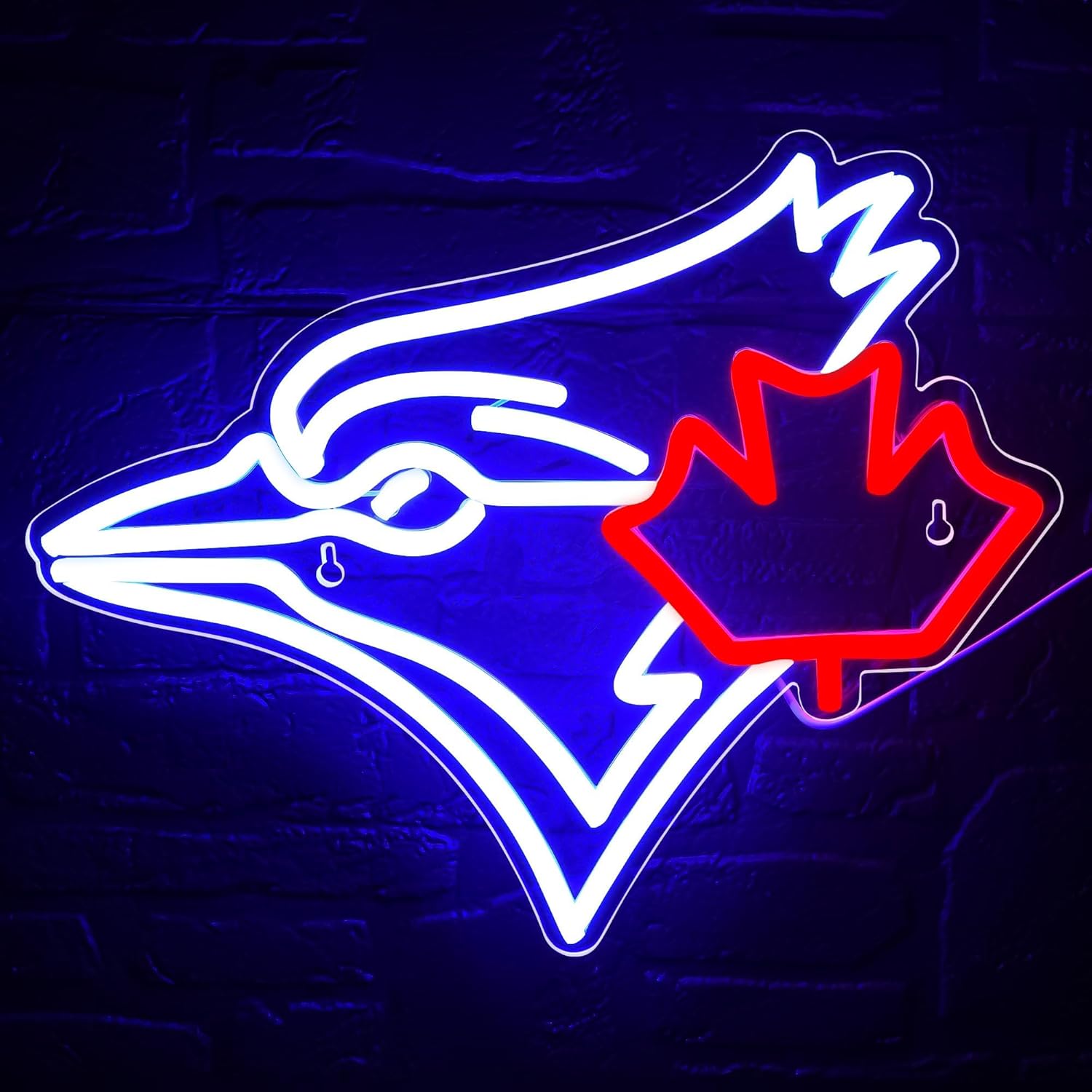 USB Dimmable Blue Jay with Map - Outdoor Lighting Canada ulasan dan harga