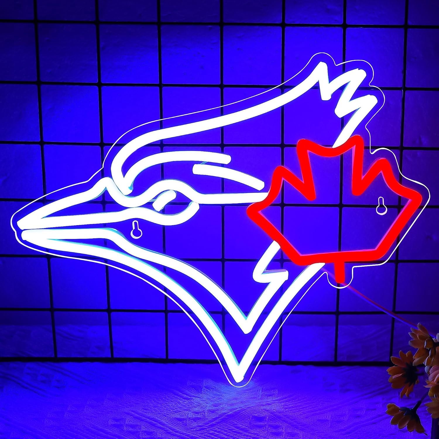 USB Dimmable Blue Jay with Map - Outdoor Lighting Canada ulasan dan harga